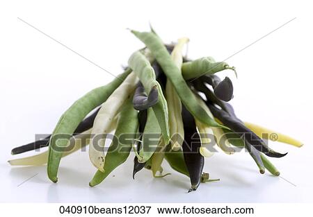 Stock Photo - Food, Still Life, Close Up, Silhouette, Beans, Vegetable. Fotosearch