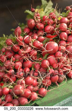 Stock Photograph - Food, Vegetables, Radish, Spring, Outside, Fresh. Fotosearch