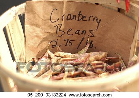 Picture - Food, Vegetables, Spring, Outside, Cranberry, Beans, Basket. Fotosearch