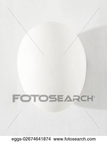 Food, White, Egg, Shadow, Close Up View Large Photo Image Picture - Food, White, Egg, Shadow, Close Up. Fotosearch