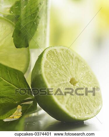 Lime, Green, Herbs, Glass, Mojito, Fruit View Large Photo Image Stock Image - Lime, Green, Herbs, Glass, Mojito, Fruit. Fotosearch