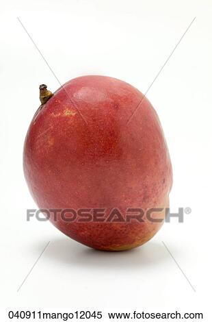 Stock Photography - Mango, Still Life, Food, Red, Fruit. Fotosearch