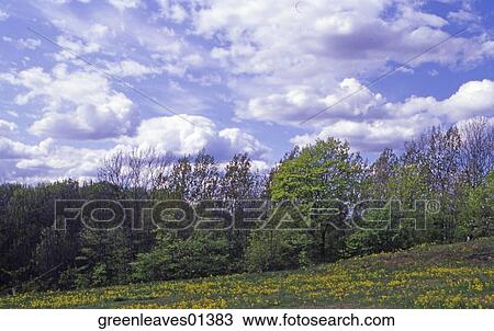 Stock Image - Nature, Still Life, Environment, Fresh, Travel, Outside, Scenic. Fotosearch