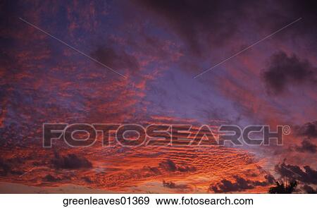 Stock Photo - Nature, Still Life, Environment, Fresh, Travel, Outside, Scenic. Fotosearch