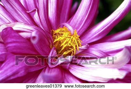Nature, Still Life, Environment, Fresh, Travel, Outside, Scenic View Large Photo Image Stock Photo - Nature, Still Life, Environment, Fresh, Travel, Outside, Scenic. Fotosearch