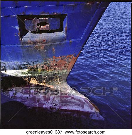Stock Photo - Nature, Still Life. Fotosearch