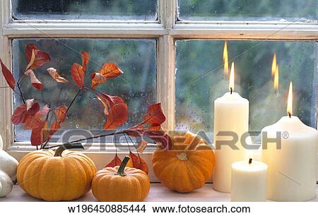 Picture - Orange Pumpkin, Squash, Still Life, Vegetables, Windowsill, Autumn. Fotosearch