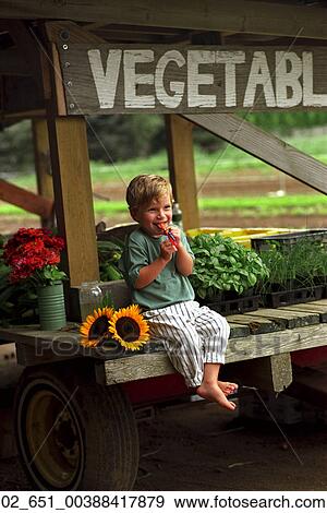 Stock Photo - Outside, Child, Boy, Sitting, Sunflower. Fotosearch