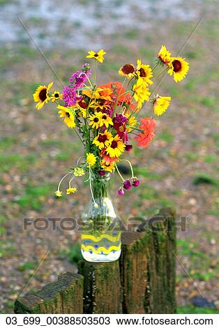 Stock Image - Outside, Spring, Flowers, Vase, Fence, Yard. Fotosearch