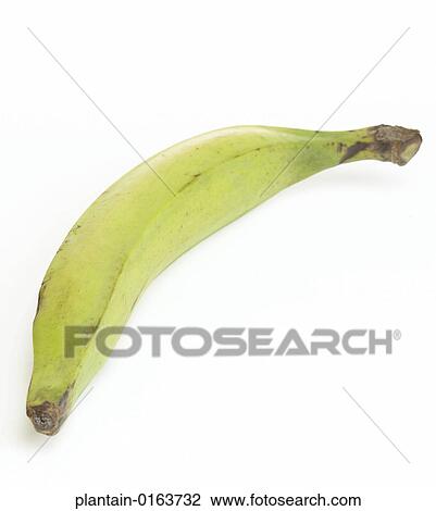 Stock Image - Plantian, Plantanos, Green, Yellow, Ripe, Caribbean Food, Fresh. Fotosearch