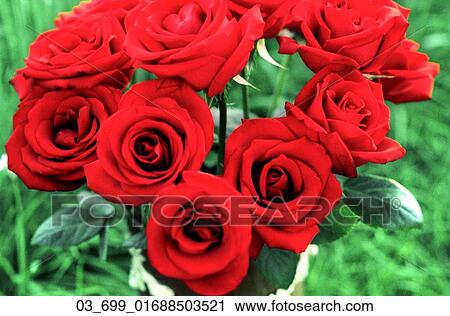 Printemps Dehors Rouges Roses Fleur Jardin Bouquet Banque Dimage