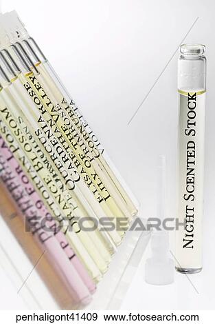 Still Life, Aromatherapy, Therapy, Alternative, Holistic, Healing View Large Photo Image Stock Photo - Still Life, Aromatherapy, Therapy, Alternative, Holistic, Healing. Fotosearch