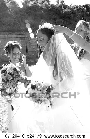 Still Life, Romance, Wedding, Bridal View Large Photo Image Stock Photo - Still Life, Romance, Wedding, Bridal. Fotosearch