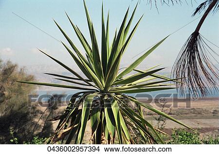 Travel, Scenic, Outside View Large Photo Image Picture - Travel, Scenic, Outside. Fotosearch