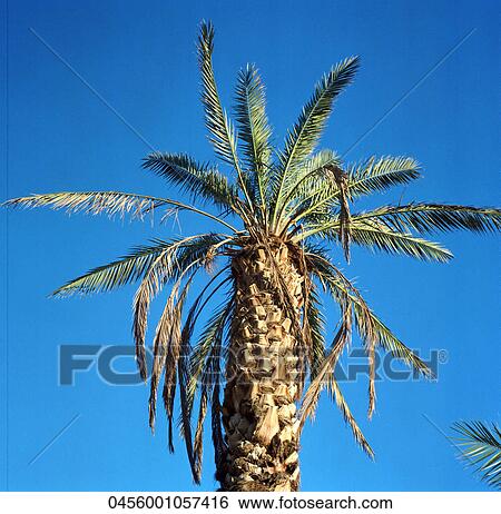 Travel, Scenic, Outside View Large Photo Image Stock Photograph - Travel, Scenic, Outside. Fotosearch