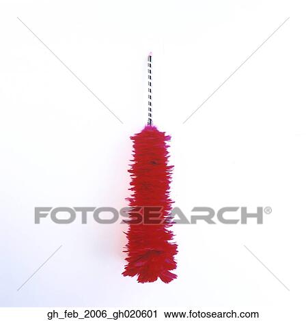 Stock Image - feather duster. Fotosearch