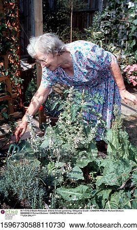 Female, Fork, Full, Length, Garden, Grey, HAi View Large Photo Image Stock Image - Female, Fork, Full, Length, Garden, Grey, HAi. Fotosearch