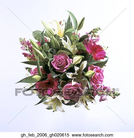 pink rose flowers View Large Photo Image Stock Photography - pink rose flowers. Fotosearch