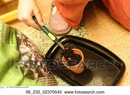 Stock Photography - planting, soil. Fotosearch