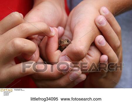 Stock Photography - Science, Outdoors, Nature, Life, style, Hands, Hand. Fotosearch