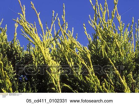 science View Large Photo Image Stock Image - science. Fotosearch
