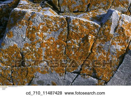 science View Large Photo Image Stock Photo - science. Fotosearch