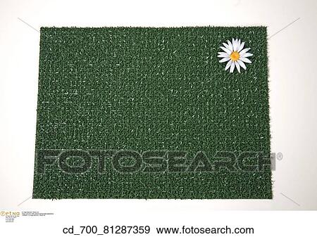 Silouette, Horizontal, Mat, Doormat, Welcome, Plastic, Flower View Large Photo Image Stock Photo - Silouette, Horizontal, Mat, Doormat, Welcome, Plastic, Flower. Fotosearch