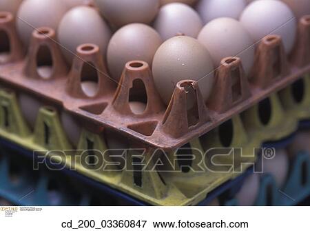 Stock Photo - Still, Life, Eggs, Crate, Dozen, Stacked, Carton. Fotosearch