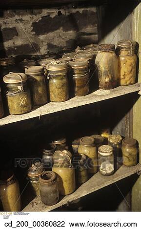 Still, Life, Fruit, Preserves, Storage, Jars, Shelves View Large Photo Image Stock Image - Still, Life, Fruit, Preserves, Storage, Jars, Shelves. Fotosearch