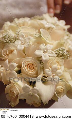 white, lillies, white, babies, breath, flowers View Large Photo Image Stock Image - white, lillies, white, babies, breath, flowers. Fotosearch
