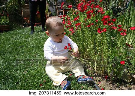 Stock Photo - White, shirt, red, flowers, Playing, Outside, Infant. Fotosearch