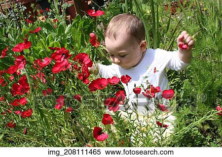 Stock Photography - White, shirt, red, flowers, Playing, Outside, Infant. Fotosearch