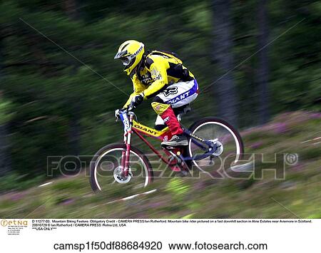 bike, Biker, Biking, downhill, downhiller, mountain biking, MTB View Large Photo Image Stock Image - bike, Biker, Biking, downhill, downhiller, mountain biking, MTB. Fotosearch