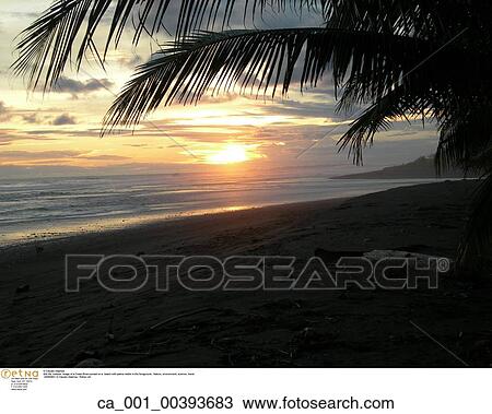 Costa Rica, Travel, Outside, scenic, Vacation, Beach View Large Photo Image Stock Image - Costa Rica, Travel, Outside, scenic, Vacation, Beach. Fotosearch