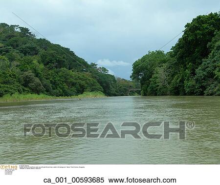 Costa Rica, Travel, Outside, scenic, lake, Trees View Large Photo Image Stock Photography - Costa Rica, Travel, Outside, scenic, lake, Trees. Fotosearch