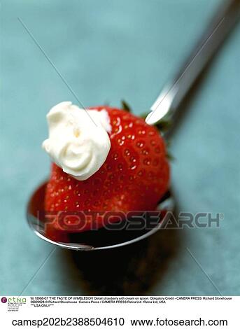 Detail strawberry with cream on spoon. View Large Photo Image Stock Image - Detail strawberry with cream on spoon.. Fotosearch