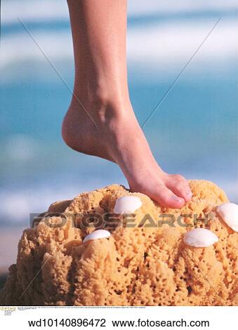 Stock Image - generic feet, vertical image, summer, solo, outdoors, on the beach. Fotosearch