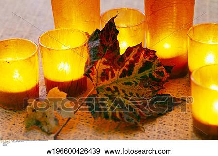 indoors, virginia creepers, lifestyles, still life, vine leaves, horizontal image, autumn View Large Photo Image Stock Photo - indoors, virginia creepers, lifestyles, still life, vine leaves, horizontal image, autumn. Fotosearch