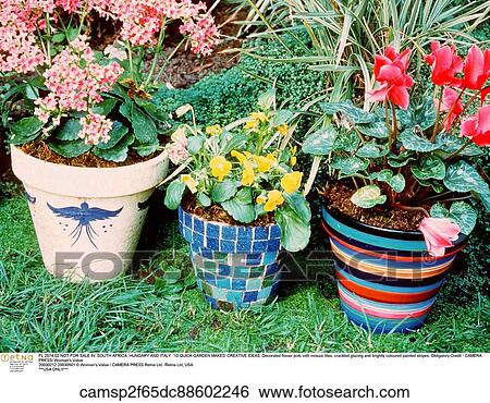Still Life, Plants & Flowers View Large Photo Image Stock Photograph - Still Life, Plants & Flowers. Fotosearch
