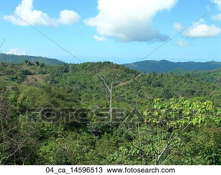 Stock Image - Tropical, Green, Sky clouds, Landscape, Hills, Airview. Fotosearch