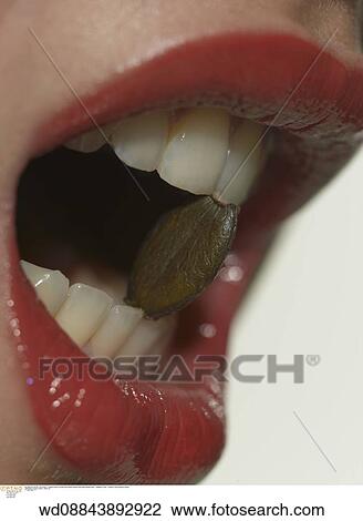 under 35, studio, solo, smiling, series View Large Photo Image Stock Image - under 35, studio, solo, smiling, series. Fotosearch