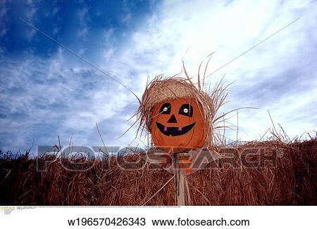 Stock Image - vegetable, USA, vegetables, horizontal image, America, still life, autumn. Fotosearch