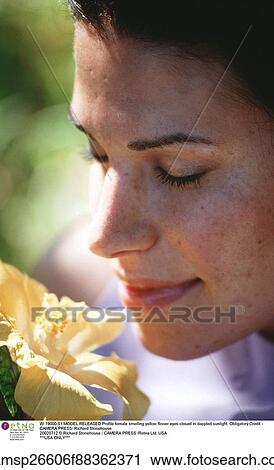 Woman, Outside, Pensive, Happy View Large Photo Image Stock Image - Woman, Outside, Pensive, Happy. Fotosearch