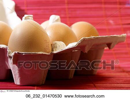 Box of eggs egg food Still life inside brown View Large Photo Image Stock Image - Box of eggs egg food Still life inside brown. Fotosearch