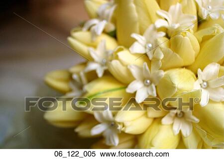 Still life flowers wedding bouquet white yellow View Large Photo Image Stock Photography - Still life flowers wedding bouquet white yellow. Fotosearch