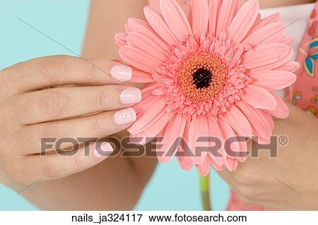 Stock Photo -  A woman with pink nails with a rhinestone touching a pink flower. Fotosearch