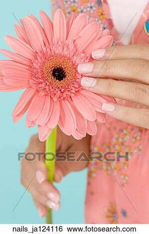 Stock Photograph -  A woman with pink nails with a rhinestone touching a pink flower.. Fotosearch