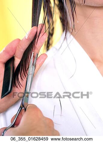 Stock Photo -  BeautyCropped image of woman having her hair cut . Fotosearch