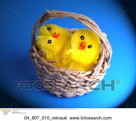 easter chicks in a basket View Large Photo Image Stock Image - easter chicks in a basket. Fotosearch