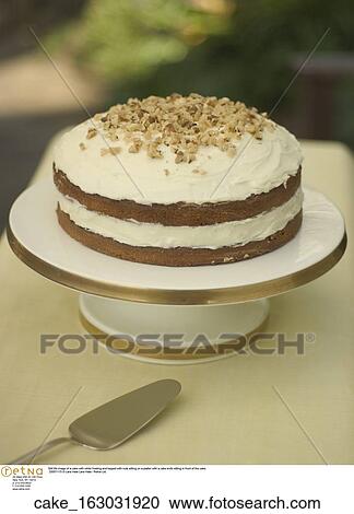 Still life image of a cake with white frosting and topped with nuts sitting on a platter with a cake knife sitting in front of the cake. View Large Photo Image Stock Image - Still life image of a cake with white frosting and topped with nuts sitting on a platter with a cake knife sitting in front of the cake.. Fotosearch